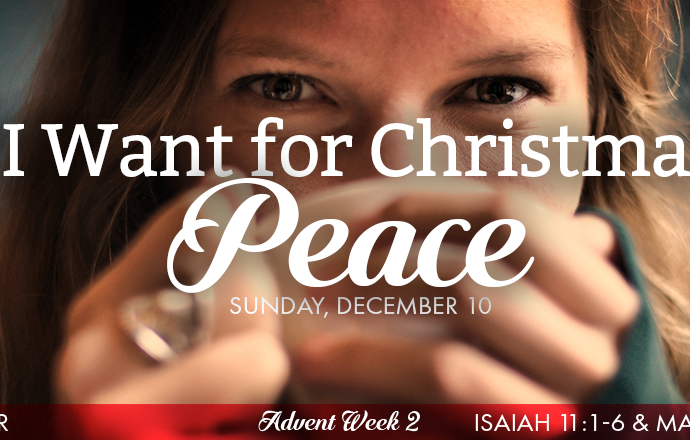 All I Want for Christmas is Peace