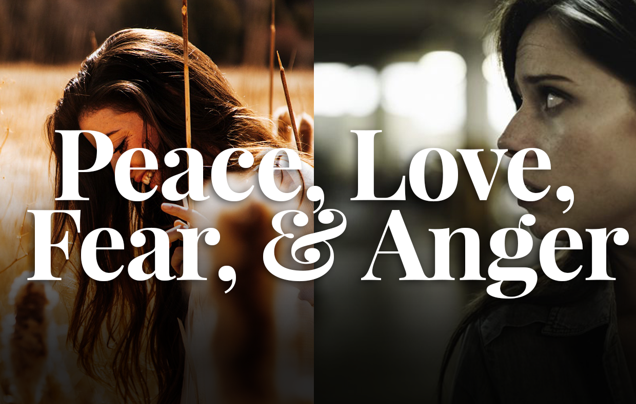 Peace, Love, Fear, & Anger