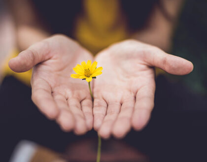 Healing Words for Troubled Times