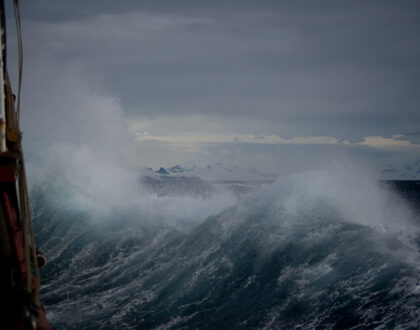 Surviving Life’s Storms with Faith & Courage