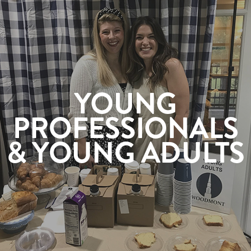 Young Professionals Young Adults
