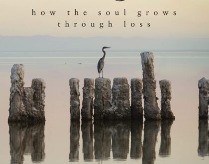New Series on Healing