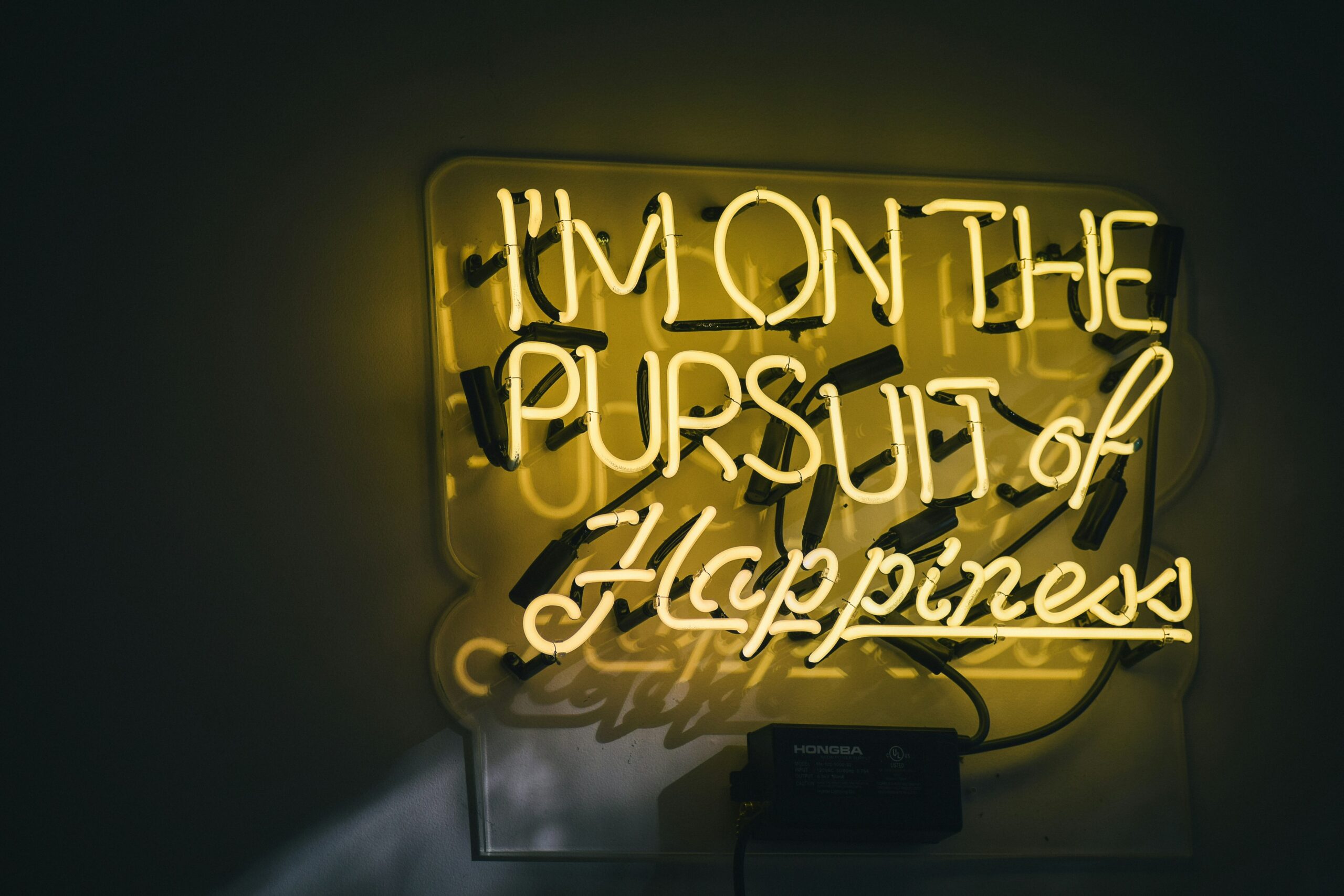 Our Life-Long Pursuit of Happiness